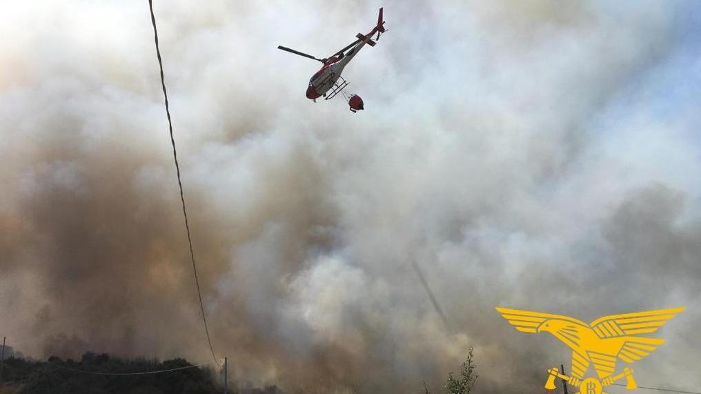 Incendio a Sant’Orsola in fiamme bosco e stalle