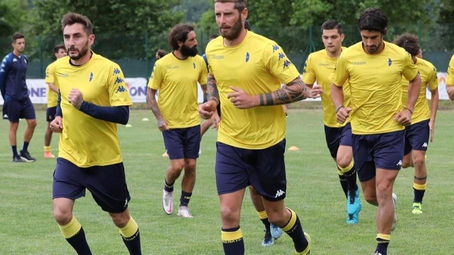 Modena, Pergreffi capitano fino al 2023: «Andremo in campo senza paura di nessuno»
