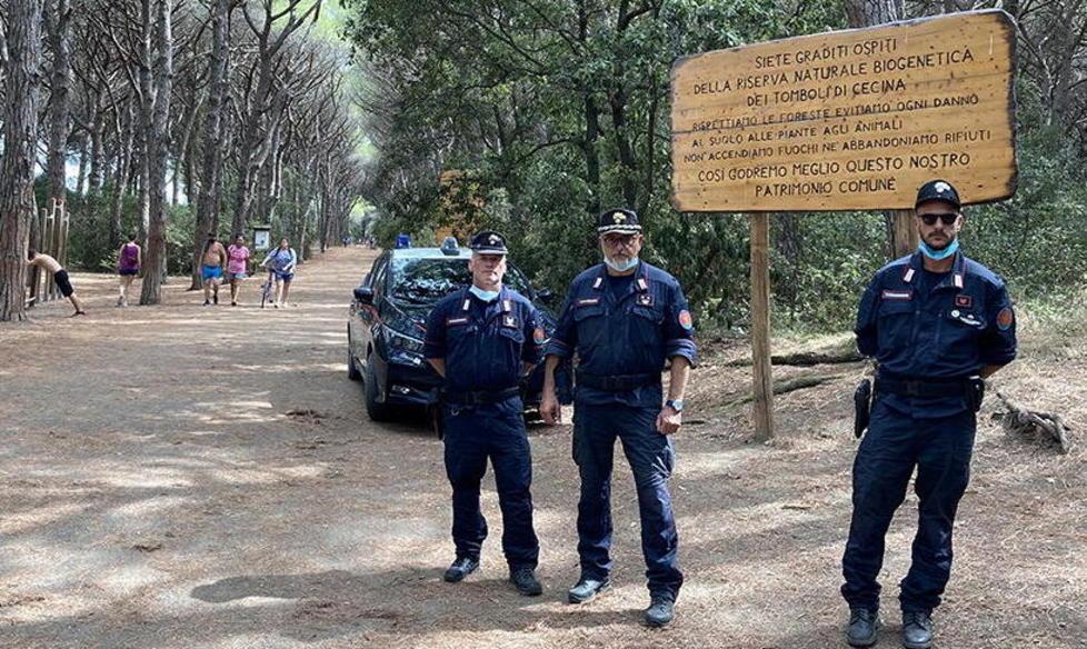 Lupo in pineta a Marina «Seguite i consigli forniti dai Forestali» 