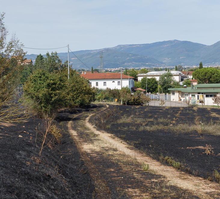 Auto bruciate e case evacuate paura per l’incendio a Catena 