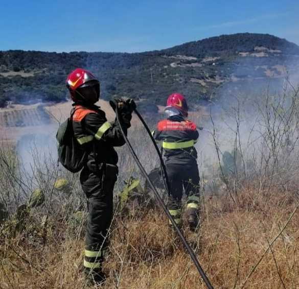 Bonificata l’area di undici incendi Fiamme a Tadasuni