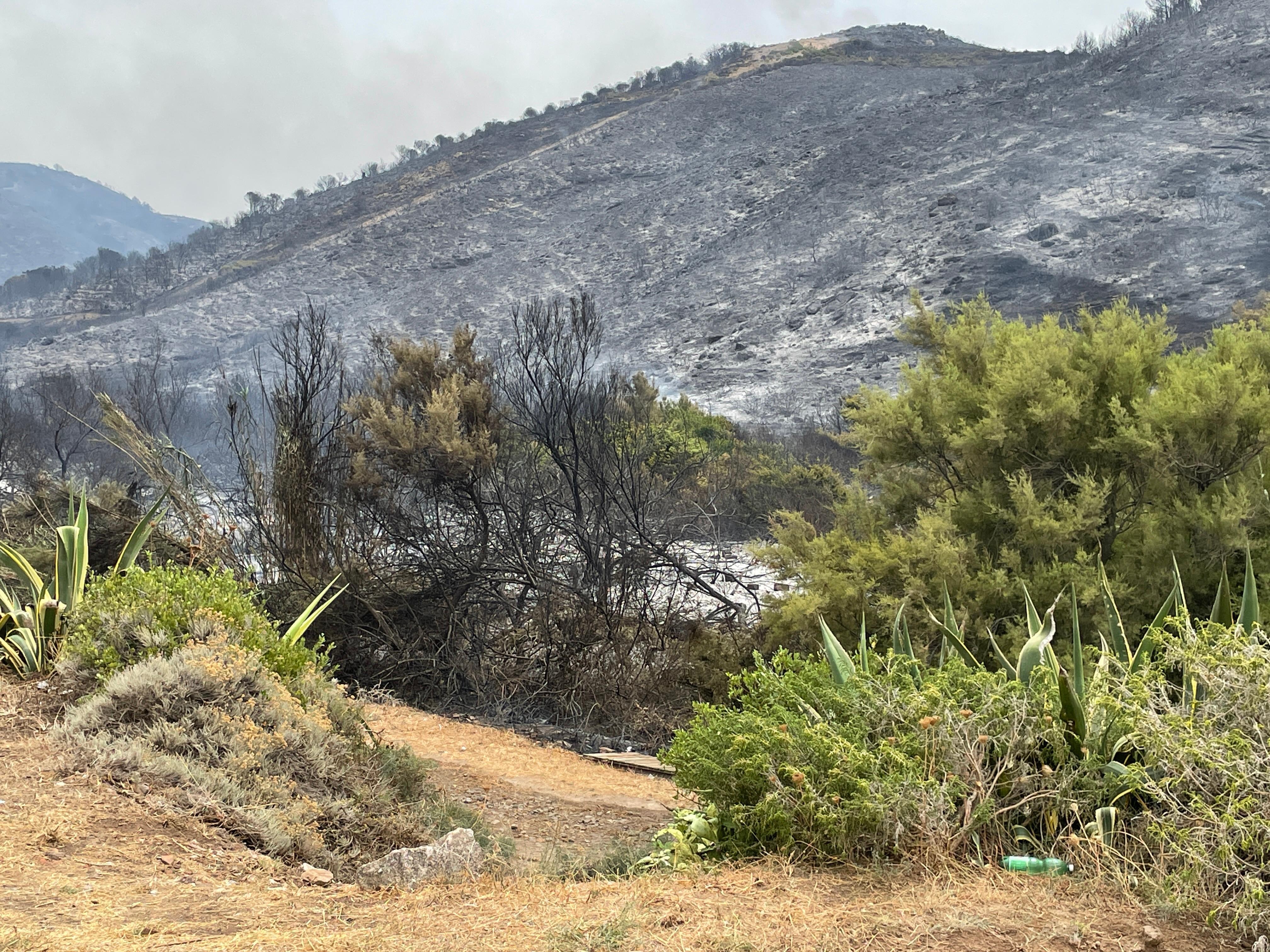 Incendi in Sardegna, Coldiretti: «In fumo ogni 15 anni 40mila ettari di bosco»