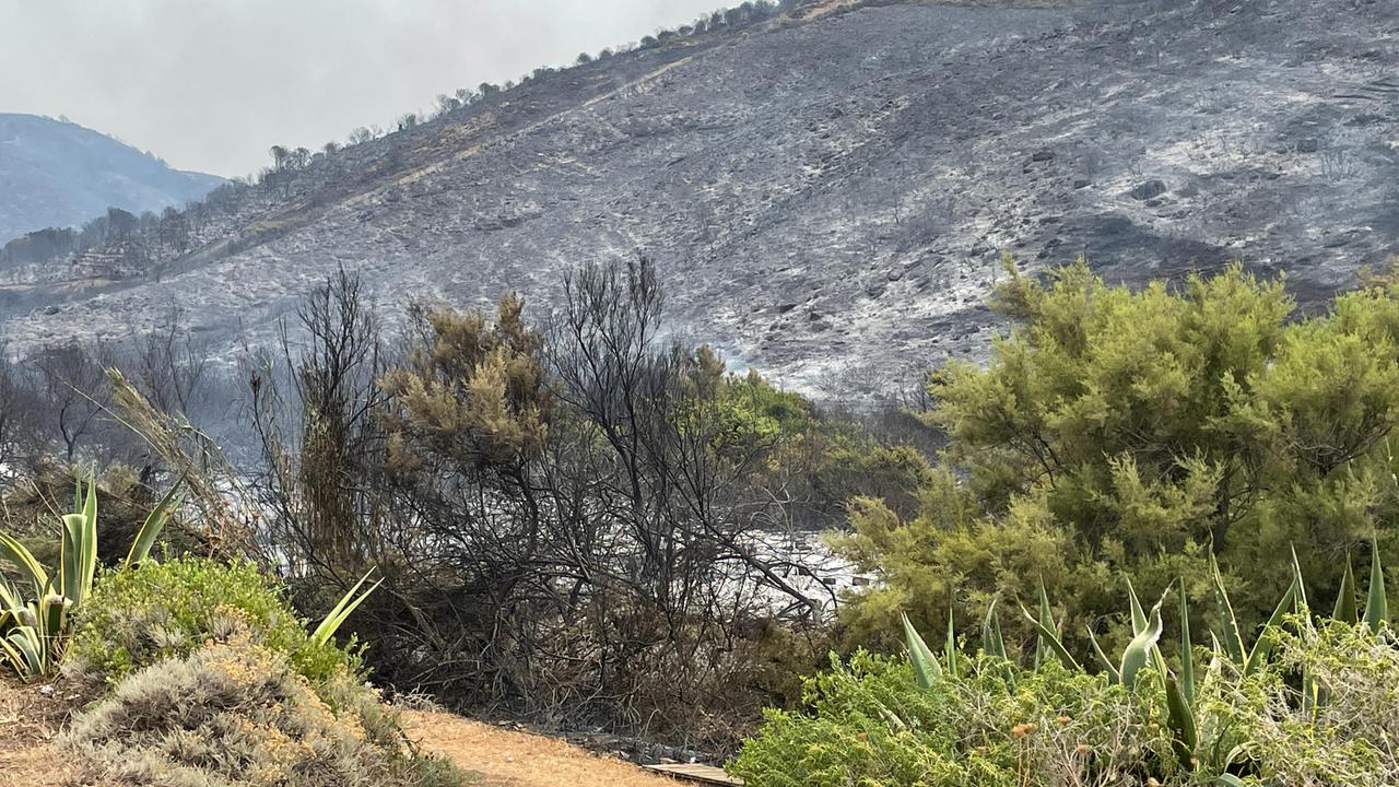 Incendi in Sardegna, Coldiretti: «In fumo ogni 15 anni 40mila ettari di bosco»