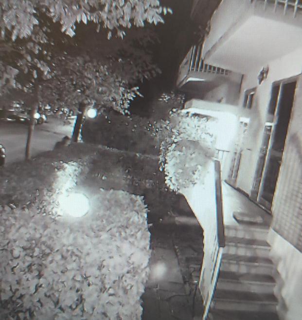 Con il buio tentano di rubare in una casa ma il colpo fallisce