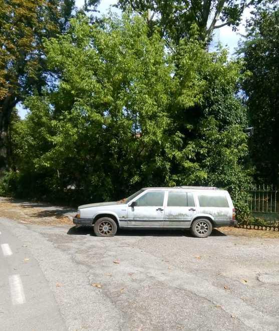 Carcassa tolta dal parco e lasciata sulla ciclabile