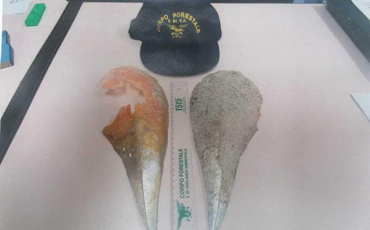 Turisti multati a Budoni per furto di nacchere 