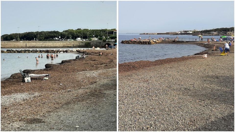 La parte nord della spiaggia la prossima estate verrà attrezzata, la parte sud dei Tre Ponti è l’area oggetto del bando andato deserto