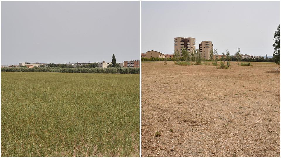 L’area tra l’aeroporto e via Preselle vista da via Orcagna e Casalone: l’area tra via Mastroianni e via De Filippo