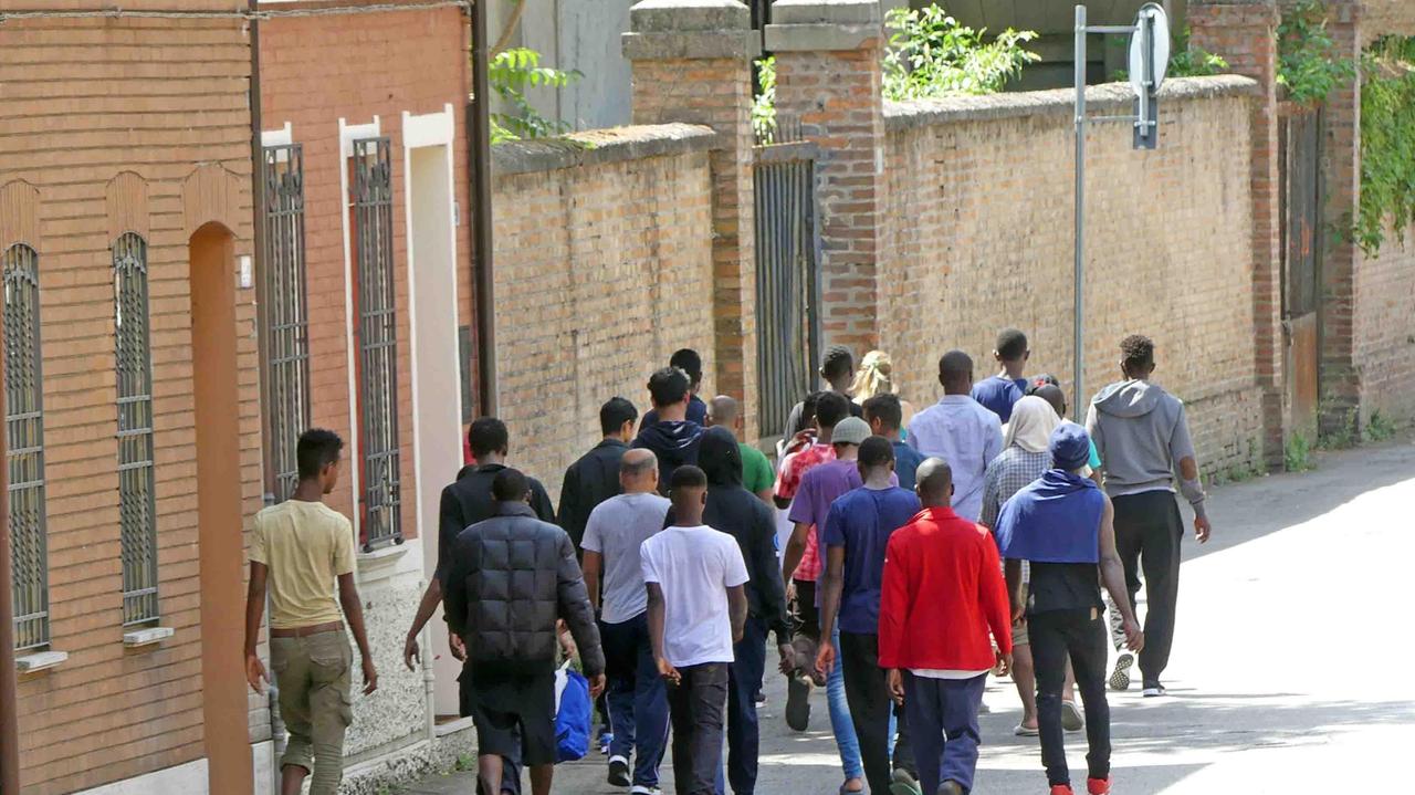 Don Bedin: migranti tutti inseriti, lavorano e fanno i volontari