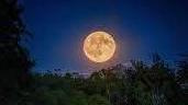 Sabato al chiaro di luna Magica serata nel bosco