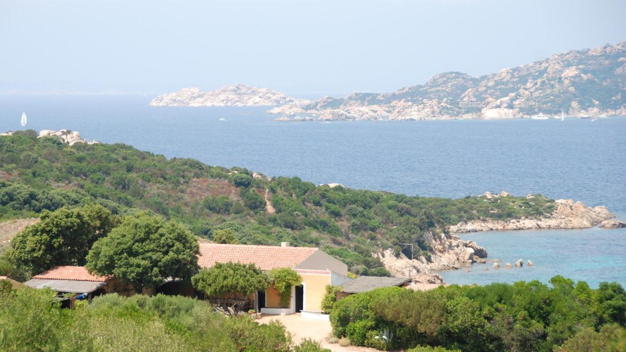 Giornata di trekking tra yoga e ambiente lungo la costa di Palau