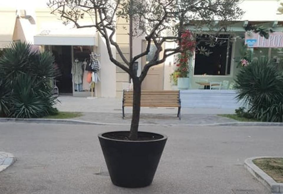 Spuntano due vasi della discordia nel centro di Tonfano
