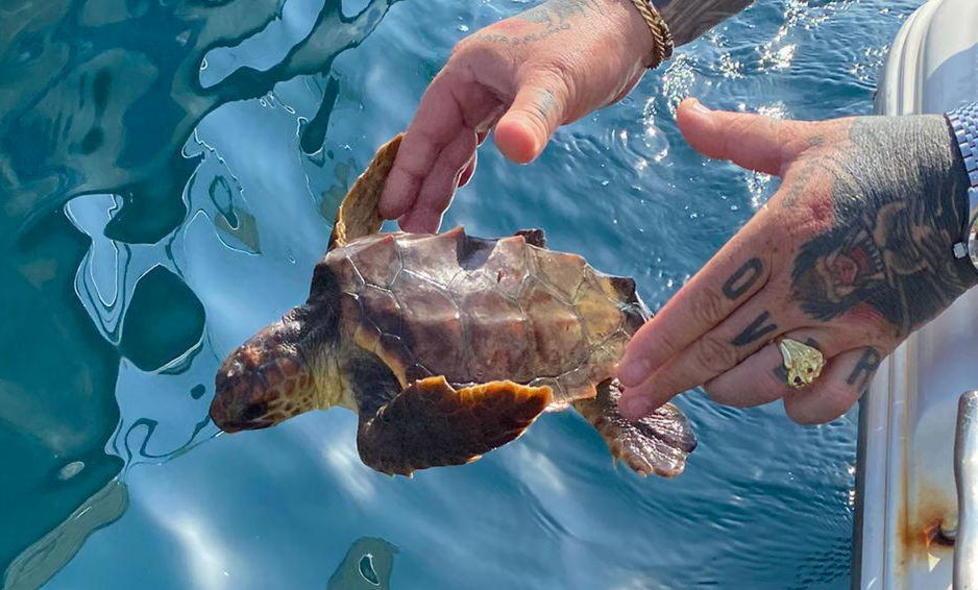 Moletto solidale tra musica e pesca E il piccolo Nicola salva una tartaruga 
