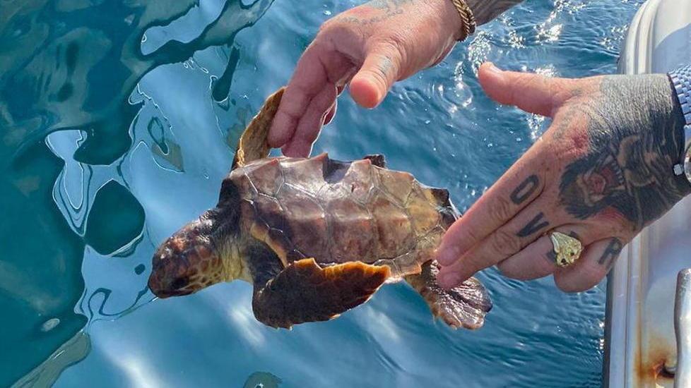 Moletto solidale tra musica e pesca E il piccolo Nicola salva una tartaruga