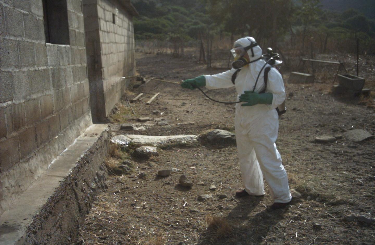 I focolai di Lingua blu si moltiplicano nel Nuorese 