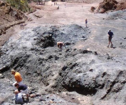 Bando per la selezione di dodici addetti per il Parco minerario 