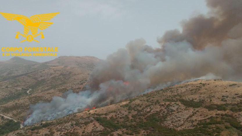 Incendi, fiamme vicino alle case a Donori 