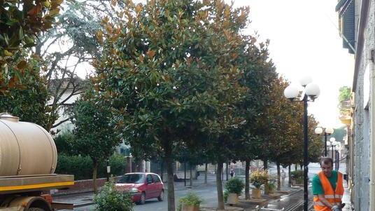 Pulizia delle strade, si cambia esteso il servizio e nuovi orari