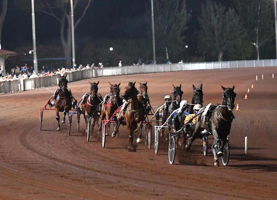 I cavalli del Gran Premio nell'edizione del 2020 ritratti poco dopo la partenza di una batteria (Foto Rosellini)