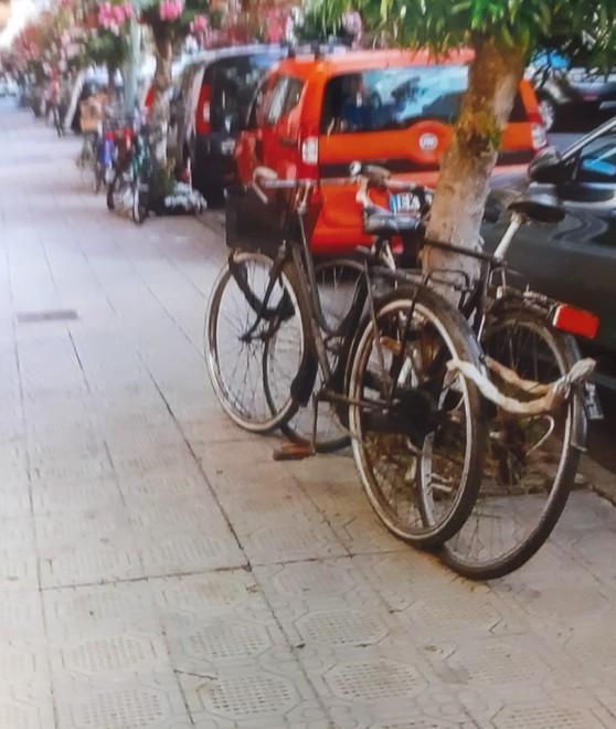 Proteste per le bici legate agli alberi