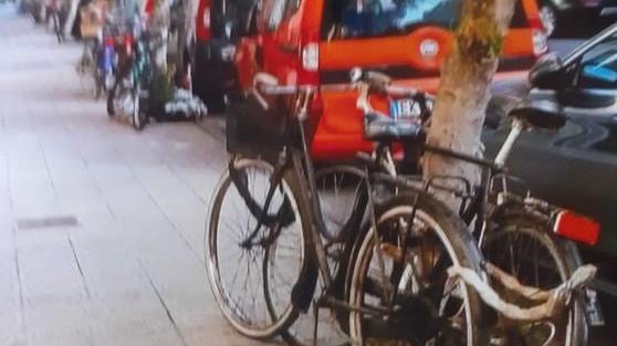 Proteste per le bici legate agli alberi