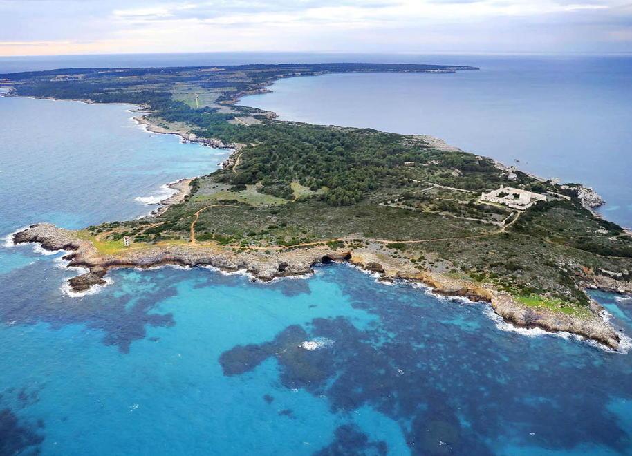 Pianosa, un’isola a prova di incendio boschivo 
