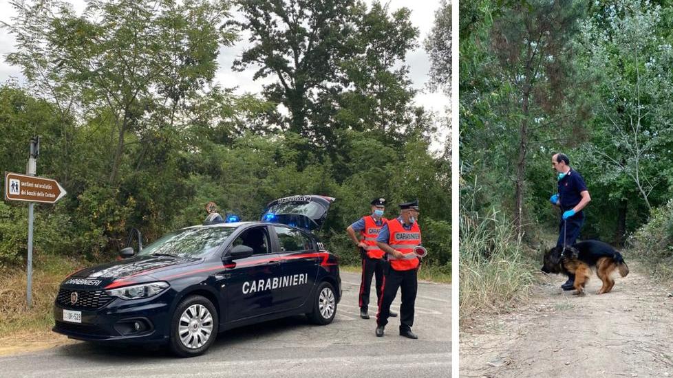 Misure speciali antidroga per Ferragosto alle Cerbaie