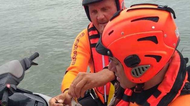 Gabbiano nella lenza Salvato dai pompieri