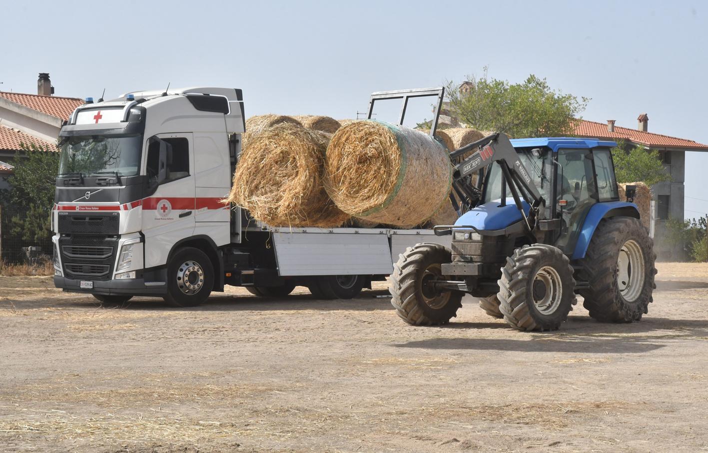 Quindici Tir di solidarietà per allevatori e aziende 
