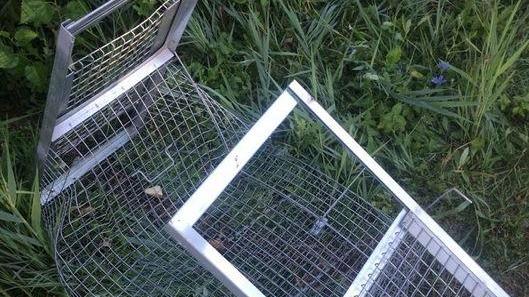 Modena, un altro raid al parco Ferrari: distrutte le gabbie delle nutrie