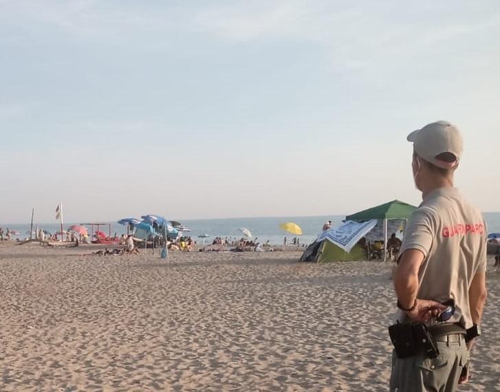 Controlli sul litorale pisano, le guardie del parco fanno smontare 50 tende 