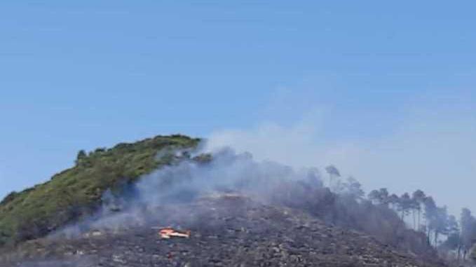 Un incendio devasta il bosco a Orbicciano