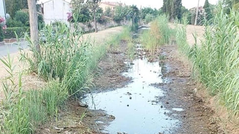 Pesci e sistema irriguo in crisi Laghetti e fossa Calda a secco