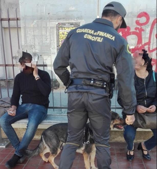 Due etti di droga sequestrati grazie ai cani 