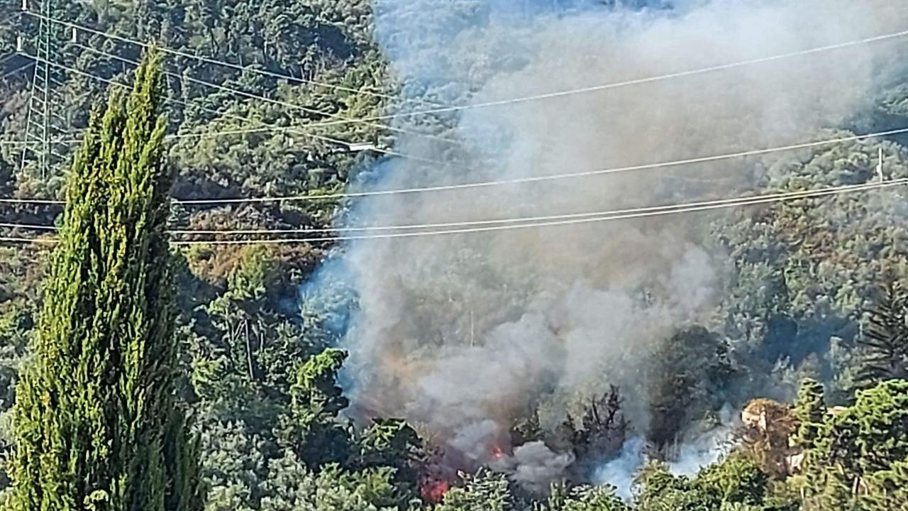 Incendio sulle colline di Pietrasanta, evacuate dieci persone
