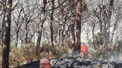 Incendio nella pineta del Tombolo, sale l’allarme ora si sospetta l’origine dolosa