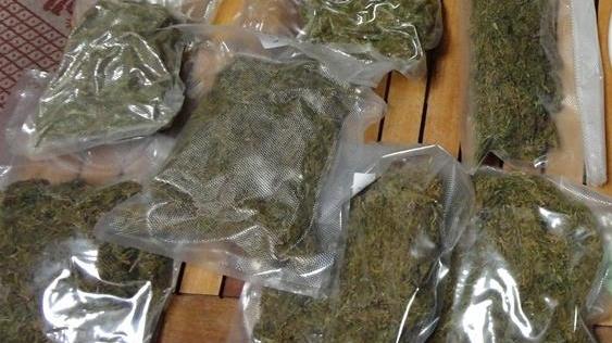 Sassari, marijuana nel container: nei guai il re degli eventi 