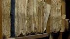 L’archivio storico comunale affidato per un anno alla Marno