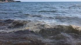«Acqua putrida» Parte la diffida prelevati campioni