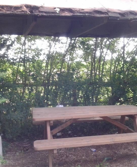 Verginese, degrado nell’area di ristoro 