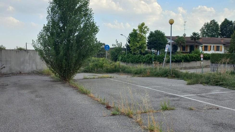 A Borgo incuria e disagi: «I candidati vengano a vedere la situazione»