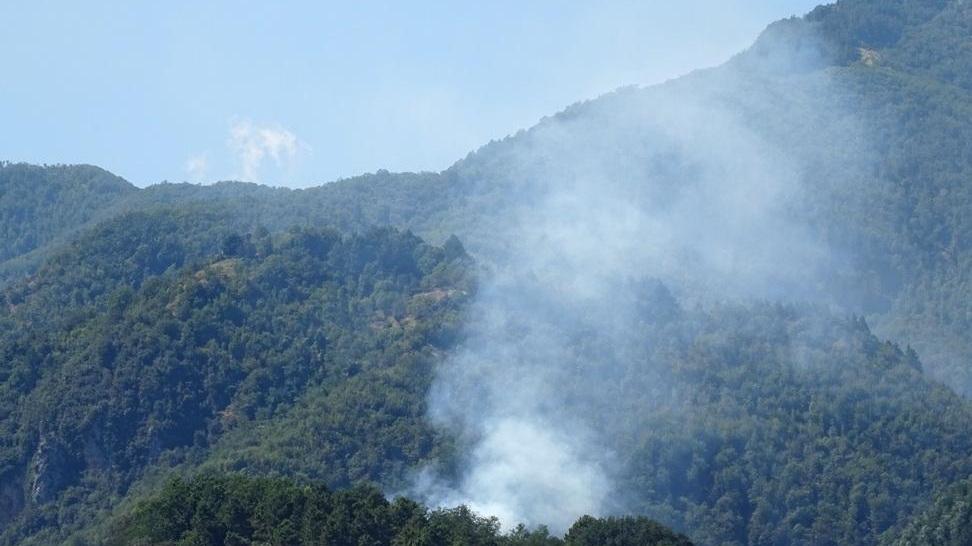 Le fiamme devastano due ettari e mezzo di bosco a Rio Folle