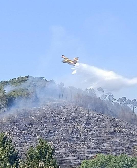 Le immagini delle telecamere per prendere l’incendiario 