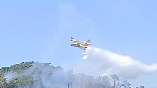 Le immagini delle telecamere per prendere l’incendiario