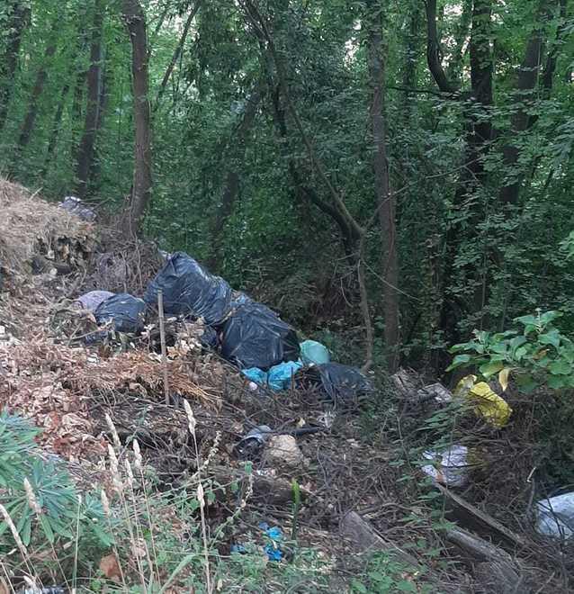 Decine di sacchi abbandonati nel bosco