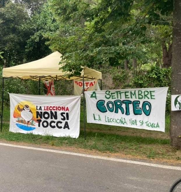 Lecciona, botta e risposta tra sindaco Del Ghingaro e gli ambientalisti