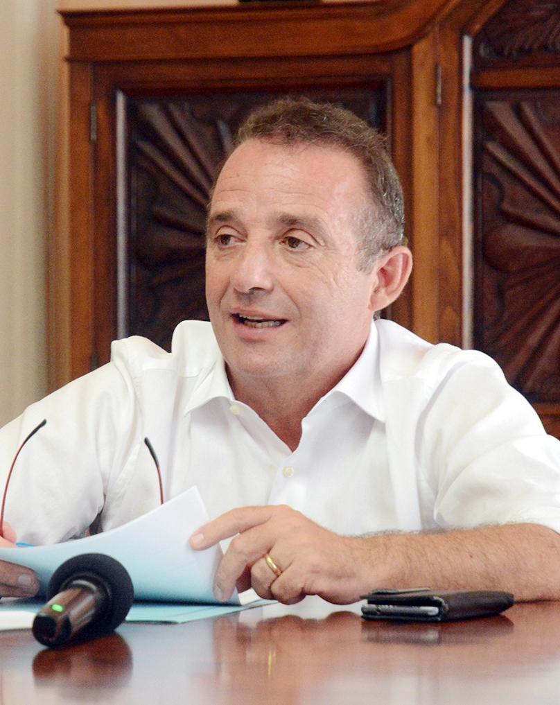 Nuovo appello per i pini di Torregrande 