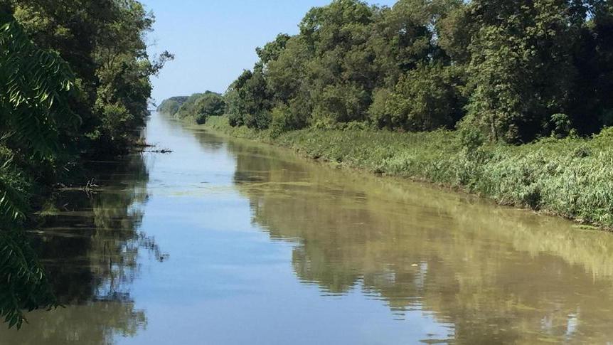 Spento dai diportisti il rogo alla foce del fiume Morto