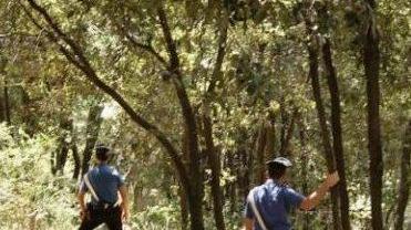 Anziana trovata morta in un campo a Grignano