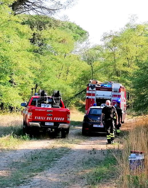 Incendi nelle pinete Cittadino chiede aiuto all’assessore Priolo